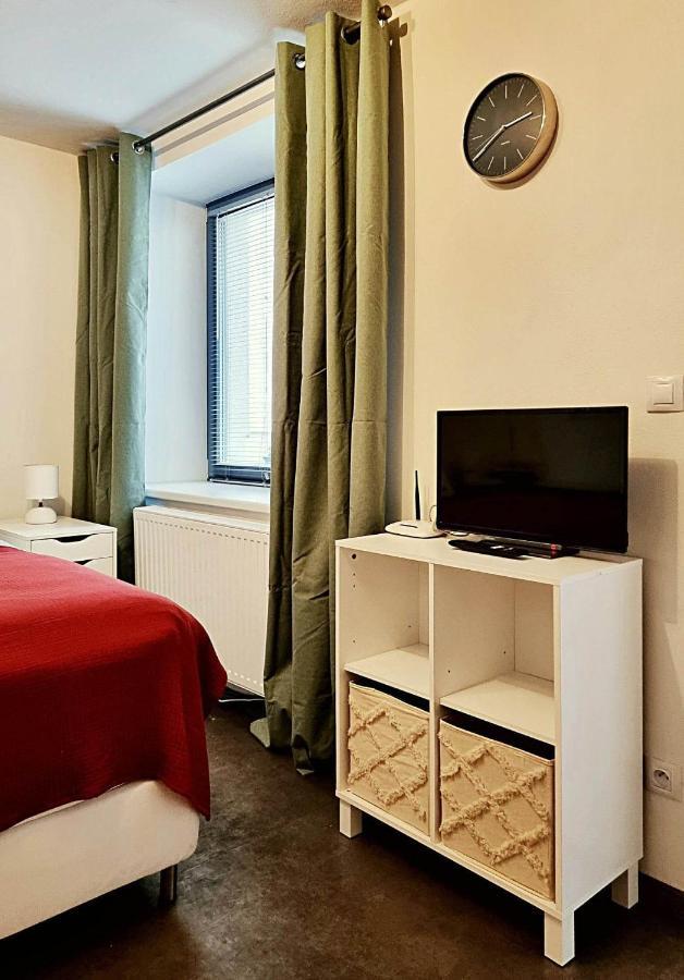 Apartman Zlaty Kriz Pisek  Exterior photo