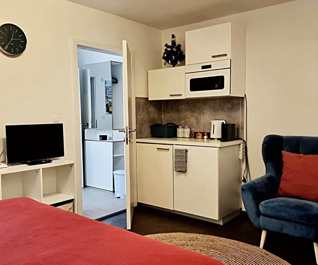Apartman Zlaty Kriz Pisek  Exterior photo